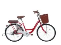 New24 Lopden 210x157.jpg